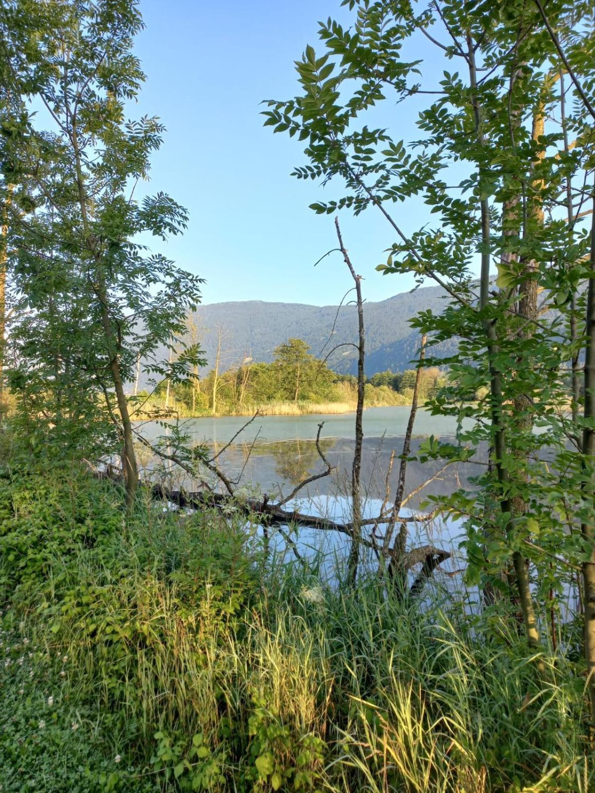 Ferienwohnung Resi Mit Traumhaftem Seepanorama Steindorf am Ossiacher See Exterior foto