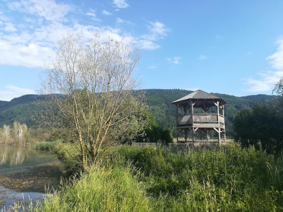 Ferienwohnung Resi Mit Traumhaftem Seepanorama Steindorf am Ossiacher See Exterior foto